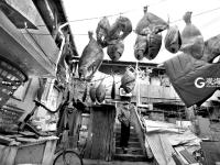 发现老城新魅力 | 观海镜赛大赏