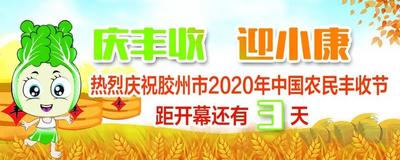 胶州市2020中国农民丰收节9月20日开幕