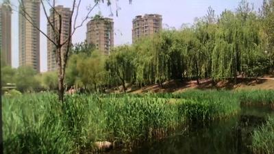 市北区利用再生水资源 促进城区环境提升