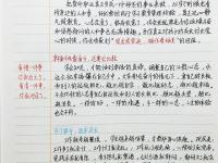 同时考入青大师范，同时走上讲台，双胞胎姐妹花，25载扎根教学一线