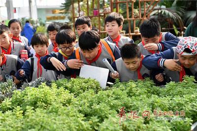 25条！山东省省级中小学生研学实践教育基地在认定上征求意见