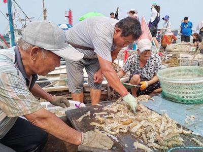 青岛开海啦，“虾兵蟹将”在向你招手！