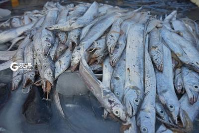 开海啦！ “虾兵蟹将”重登吃货们的餐桌
