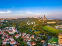 白露已过 秋意浓 这样的老城美得精致