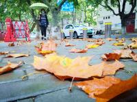 一场秋雨一场寒！青岛开启降温模式