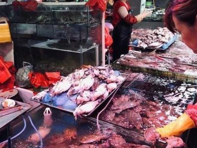 虾虎30/斤起、螃蟹50元/斤起……开海近十天，一起来看这份最新海鲜价目表