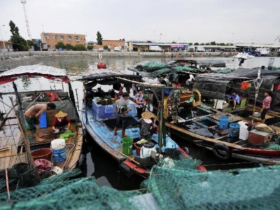 污水、垃圾直排入海，青岛崂山区14处渔港待整治，力争10月底完成！