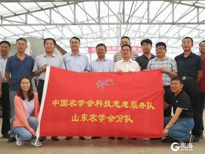 行业首创！青岛莱西畜禽粪污与秸秆无害化处理与资源化利用技术成果通过评价