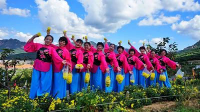 秋风送爽，仙菊开摘