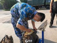 军营“粮草官”拍了拍你的肚皮，并对你说...