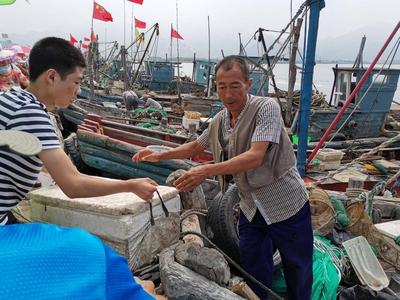 青岛开海啦，“虾兵蟹将”在向你招手！