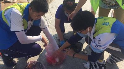 净滩志愿者在行动！今天上午50余名志愿者走上海滩，清理海洋垃圾