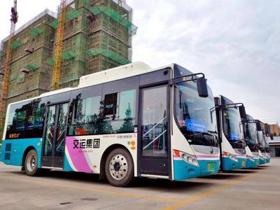 两条定制公交专线开通！2020东亚海洋博览会明启幕，交运温馨巴士全力护航