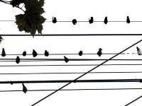 青岛都市剪影，勾勒奇趣生活