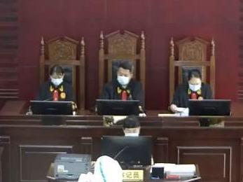 严厉打击！运送他人入境、非法越境，20人因偷越国（边）境获刑