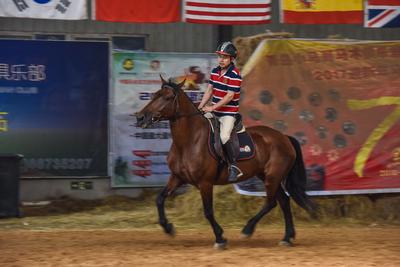 小马哥和他的骏马们