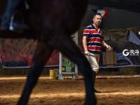 小马哥和他的骏马们