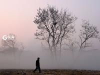 青岛都市剪影，勾勒奇趣生活