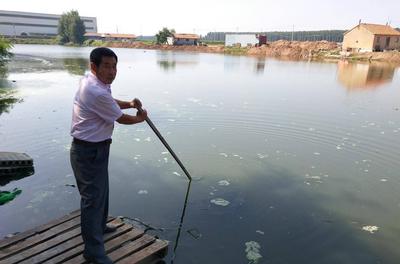 胶州市胶西街道村民薛永照纵身跳入水塘，救起落水祖孙俩！获评8月份青岛文明市民