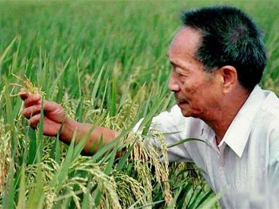 从“80后”变成“90后”，袁隆平今天许下这样的生日愿望