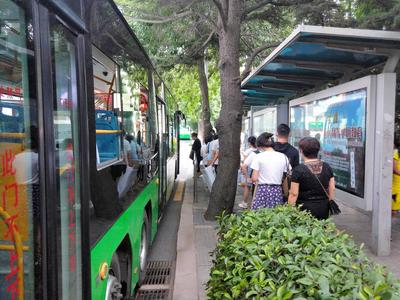 公交出行绿色又时尚！截至今年6月，青岛常规公交线路已达881条