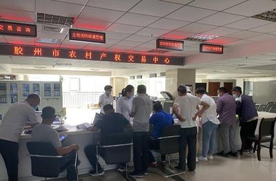 胶州市流转土地50.1万亩，转出农业发展新活力