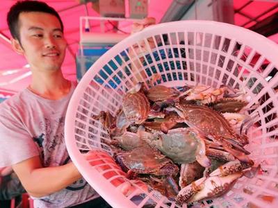 休渔期终于结束啦！问题来了，海捕鱼虾什么时候能大量上市？