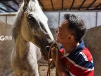 小马哥和他的骏马们