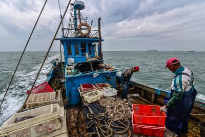 来自大自然的馈赠——渔帮人的捕鱼记 
