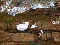 在“爱情岛”定格海誓山盟的瞬间