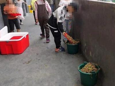 安徽阜阳“学生倒掉营养餐”？官方通报：两名公职人员被停职！