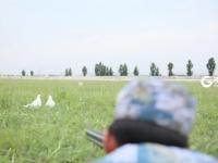 守护每一次安全飞行，走近“驱鸟兵”