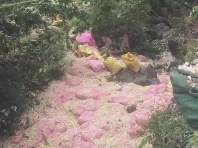 河南商城“货车侧翻掩压路边拾瓣群众事故”后续：已致8死11伤