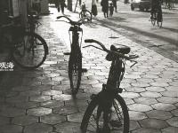 岁月深处的清脆铃声 一座城市的自行车记忆