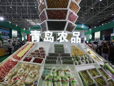 中国“三农”领域三大顶级活动同期举办，1300余家参展商齐聚青岛话“农品”