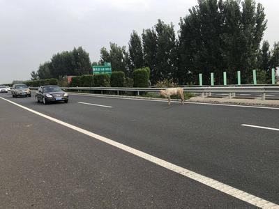 长深高速江苏无锡“9·28”特别重大道路交通事故调查报告公布