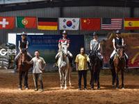 小马哥和他的骏马们