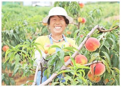 六汪镇刘新村:土地流转引项目 精准扶贫,筑起生态小康路 