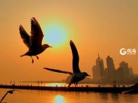 青岛都市剪影，勾勒奇趣生活