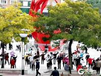 航拍李村公园：美景与烟火气共生