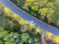 惹人醉，唐岛湾秋正浓