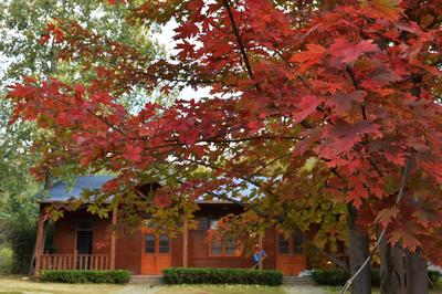 即墨区马山公园：漫山红遍的秋日风情