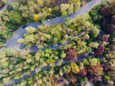 航拍榉林山，这里竟盘着一条“龙”