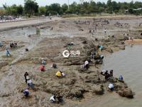 避开景点人潮，唐岛湾开启假日慢生活！