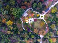 色彩斑斓，青岛植物园秋色醉人