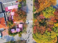 航拍秋日中山公园：这份壁纸请收好