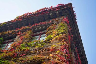 秋意浓 每一种秋色都令人沉醉 