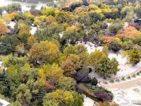 航拍李村公园：美景与烟火气共生