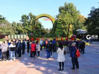 金秋菊展吸引爱花人