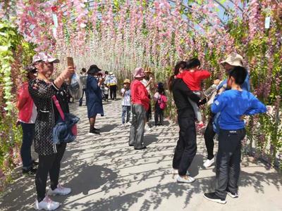 平度：“双节”假期共接待游客26万人次，实现旅游收入8994万元